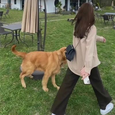 情人、骗子、大盗