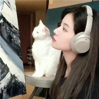 疯拳癫腿